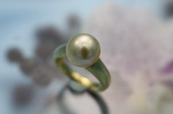 ���t�H�[������ Before